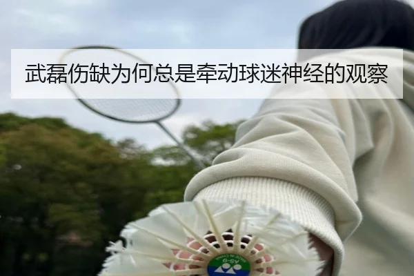 武磊伤缺为何总是牵动球迷神经的观察
